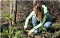 Woman digs in the ground with a small spade