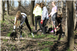 Group of young people clear brush