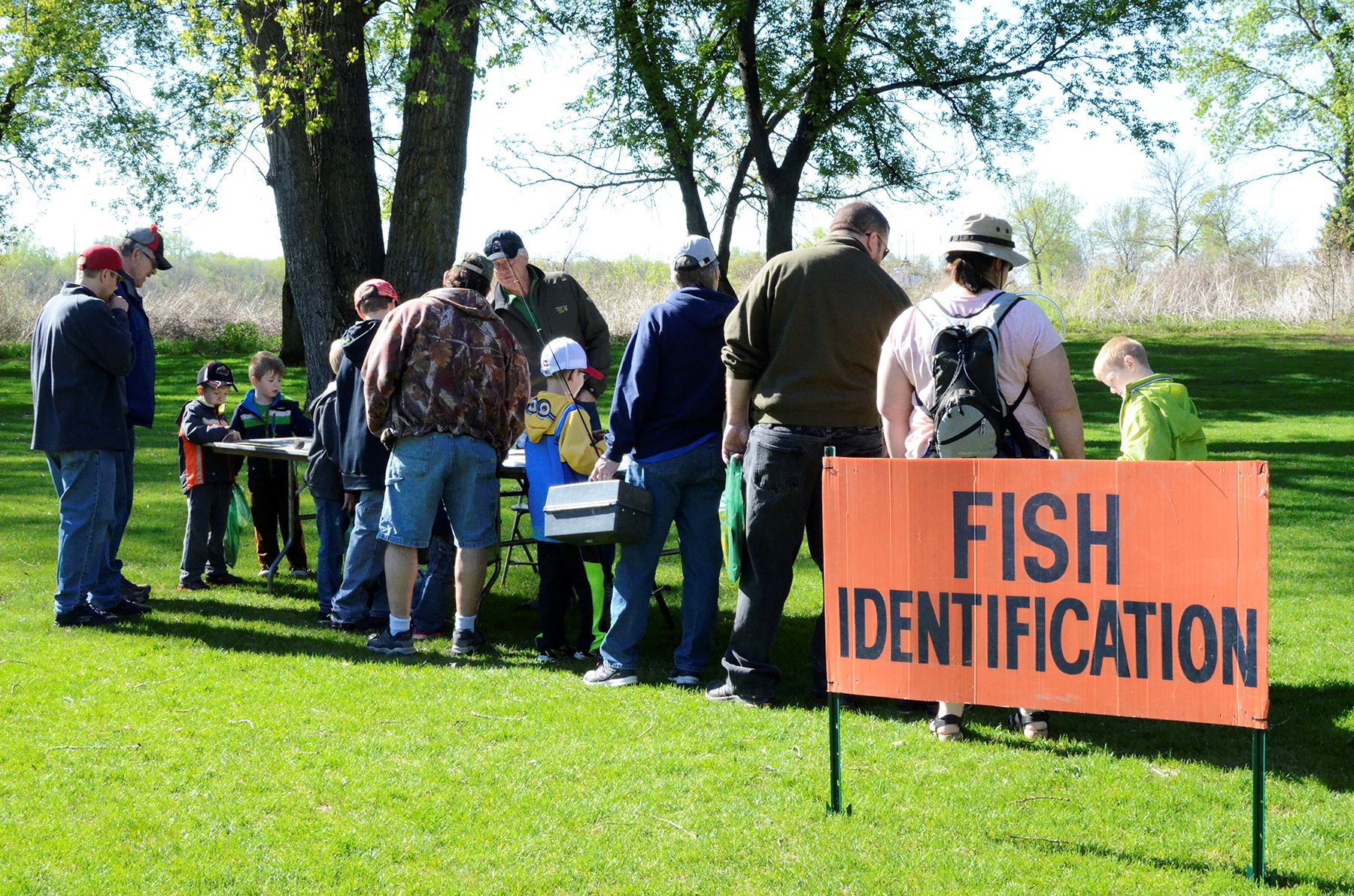 People stand at fish identification table