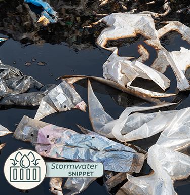 Image of trash in lake.