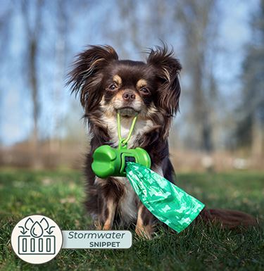 Image of dog holding poop disposal bags in its mouth.